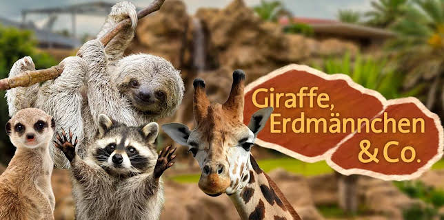 Giraffe, Erdmännchen & Co.