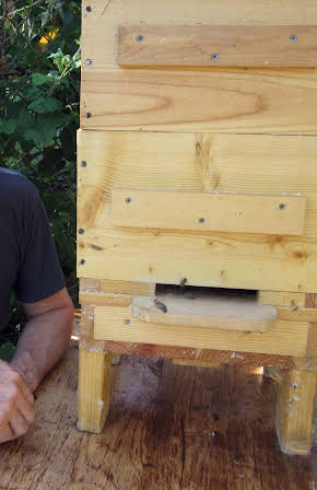 Taggart Siegel as Director