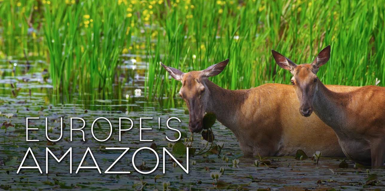 Europe's Amazon