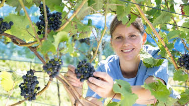 17:00: Land & lecker | WDR Fernsehen | 6/27 2026