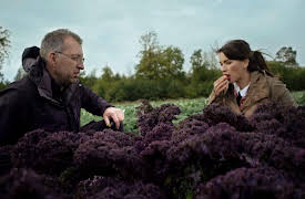 Rachel Khoo My Swedish Kitchen: Swedish House Mans Food