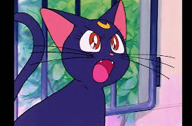 Sailor Moon - season 1: A Girl's Dream: Usagi Becomes a Bride