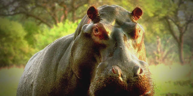 20:15: Unglaubliche Entdeckungen mit Danny Trejo | Kabel Eins Doku | 1/17 2026