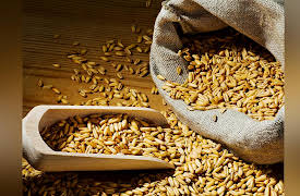 An Economic History of the World Since 1400: Late-14th-Century Guilds and Monopolies