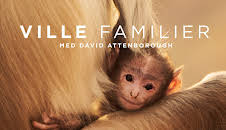 Ville familier: Havene