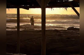 Green Paradise: Australia - From The Ocean To The Vine