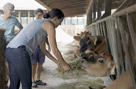 From the Source, Season 1: Cheese