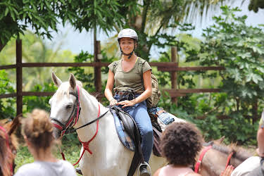 01:50: Mord i paradis (S8 E8) (S8) | TVNorge | 4/24 2026