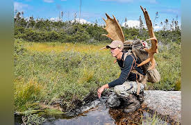 Moment Of Impact: Backcountry Moose