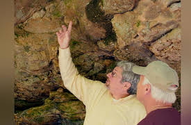 Beyond Is Genesis History?: Evidence of the Catastrophic Past : Pocket Wilderness