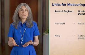 The Viking Age: New Perspectives on History and Culture: The Vikings in Britain
