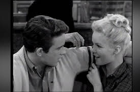 The Many Loves Of Dobie Gillis: Season One: The Fist Fighter