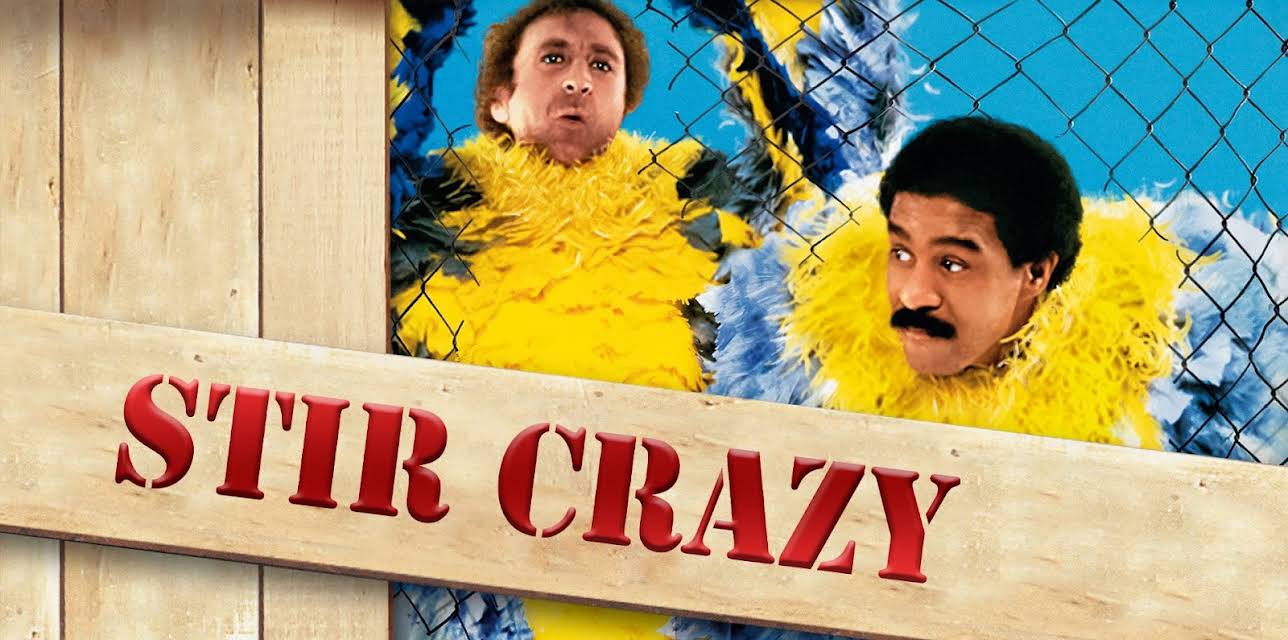 Stir Crazy (1980)