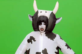 RuPaul's Drag Race Global All Stars: There's No Place Like Home