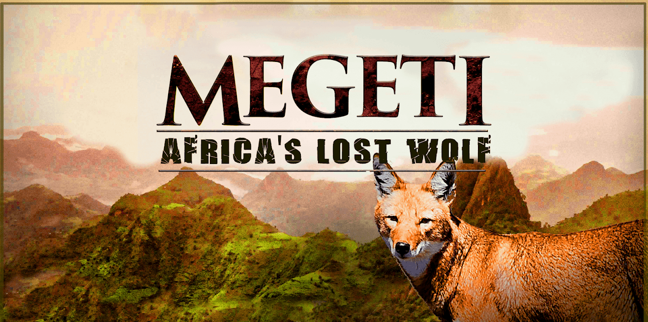 Megeti - Africa's Lost Wolf (2017)