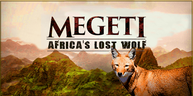 Megeti - Africa's Lost Wolf (2017)