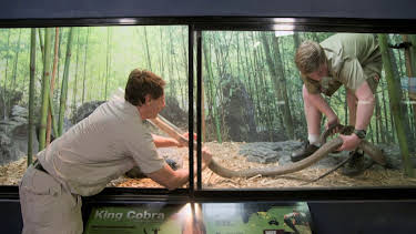 17:00: Crikey! It's the Irwins (S1 E4) (S1) | Animal Planet | 4/10 2026