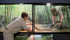 Crikey! It's the Irwins (S1 E4)