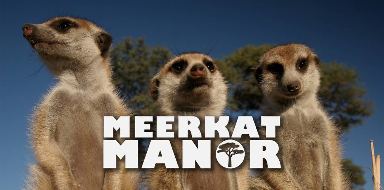 Meerkat Manor