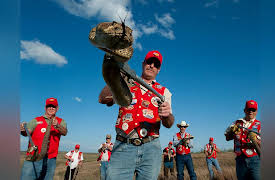 Fundamentals of Photography: Composition II--Background and Perspective