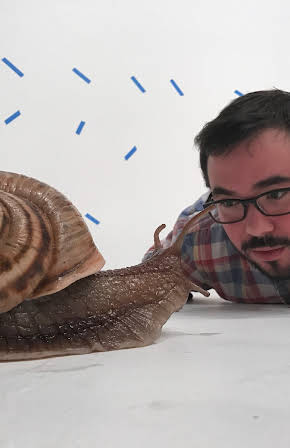 Daniel Fabelo as Director