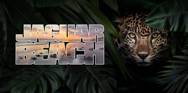 Jaguar Beach