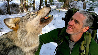 4:15 PM: Land of the Lost Wolves | BBC Two | 6/25 2026