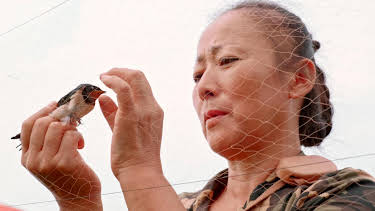 11:50: Abenteuer Wildnis (1/2) | BR Fernsehen | 3/26 2026