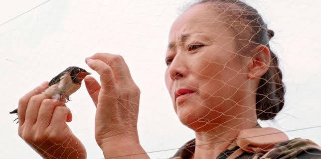 20:15: Im Einsatz für den Planeten - Die Artenretter (1/2) | RBB Fernsehen | 3/8 2026