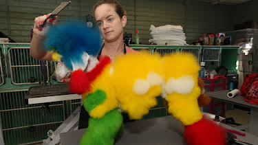 23:00: Preposterous Pets (S1 E4) (S1) | Animal Planet | 4/14 2026