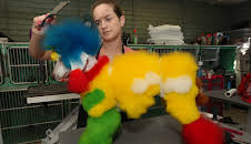 Preposterous Pets (S1 E4)