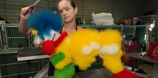 07:40: Preposterous Pets (S1 E4) (S1) | Animal Planet | 1/16 2026