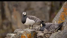 Perdedores y salvajes: Unos padres terribles