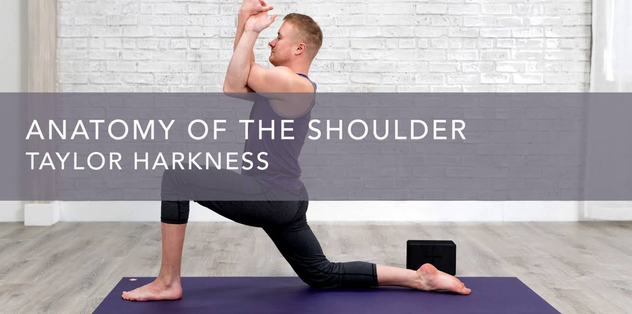 Anatomy of the Shoulder (2021)