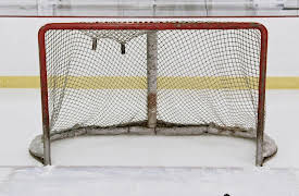 Let's Go to Work: Hockey Goalie