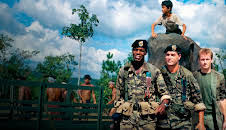 MAD FAMILY: 'OPERACIÓN ELEFANTE'