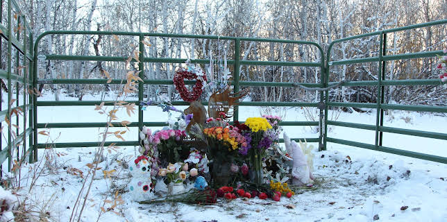 03:35: Forbrytelsene som rystet USA (S7 E2) (S7) | FEM | 2/10 2026