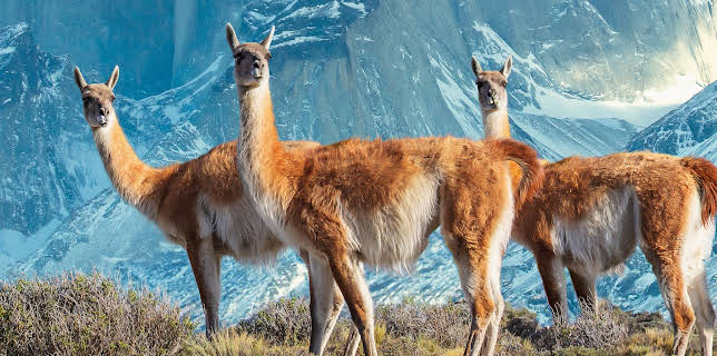 10:10: Sieben Kontinente - Ein Planet | ZDFneo | 11/1 2025