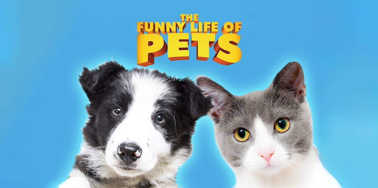 The Funny Life Of Pets (2016)