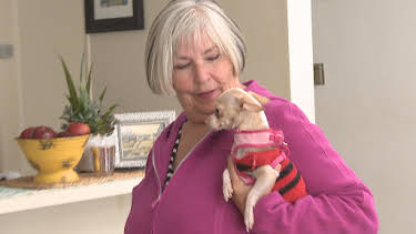 08:40: My Tiny Terror (S1 E1) (S1) | Animal Planet | 12/23 2025