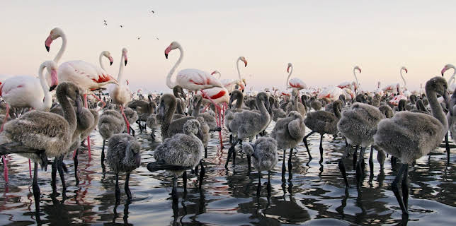 21:50: Europas fem verder: Kyst | NRK 2 | 1/18 2026