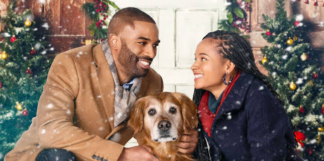 3:00 AM: A Christmas Stray | Channel 5 | 12/2 2025