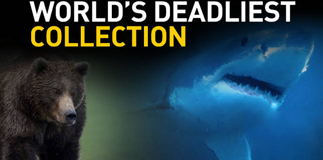 World's Deadliest Collection Season 1
