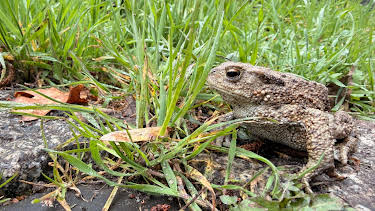 07:15: alle wetter! | HR Fernsehen | 3/26 2026