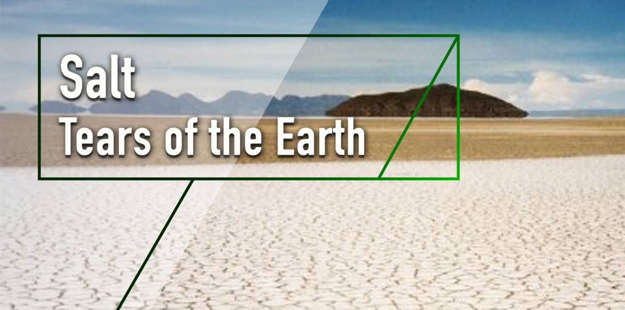 Salt - Tears of the Earth (2001)
