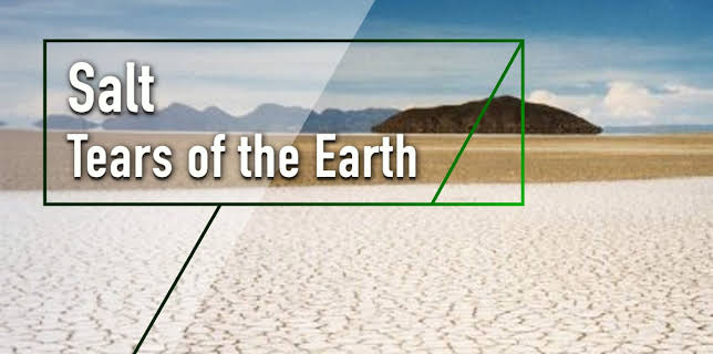 Salt - Tears of the Earth (2001)