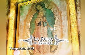 La Rosa de Guadalupe season-2008: La Rosa de Guadalupe - 'Siempre se puede'