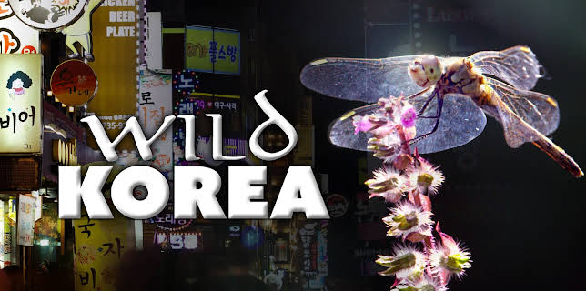 Wild Korea