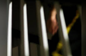 Cajun Justice Season 1: Bug Off