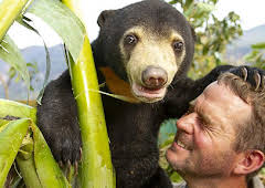 Bears About the House